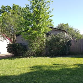 Bush Trimming by Huntech, LLC reviewed on August 19, 2025