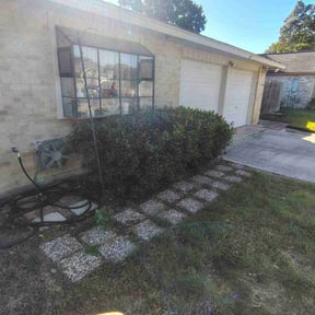 Bush Trimming by E and J  landscape and Lawns reviewed on November 21, 2025