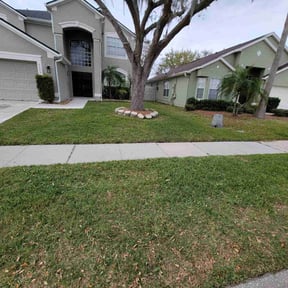Leaf Removal by B and b lawn and professional services llc reviewed on August 15, 2025