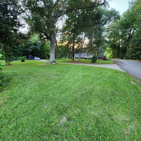 turf maintenance by Eden Enterprise reviewed on August 16, 2025