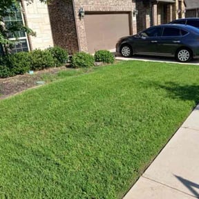 gardening service by Blue Diamond Cleaning Services reviewed on August 18, 2025