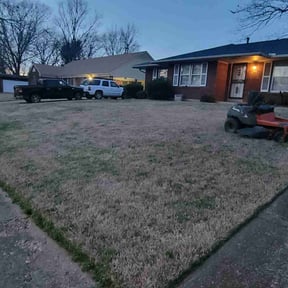 Leaf Removal by Alexito Landscaping reviewed on March 5, 2026