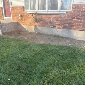 Flower Bed Weeding by Big star landscaping &amp; Pest LLC reviewed on November 24, 2025