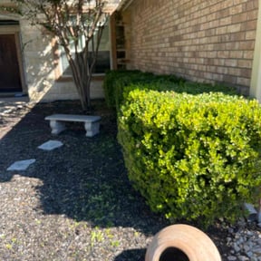 lawn maintenance by Santos E Pereira reviewed on May 16, 2024