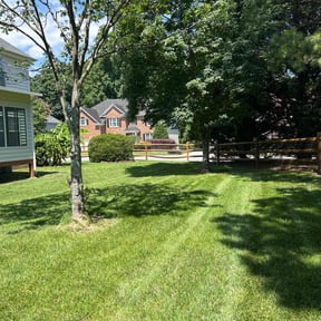 yard service by Mow & Go reviewed on August 21, 2025