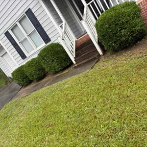 Bush Trimming by electric landscaping llc reviewed on August 15, 2025
