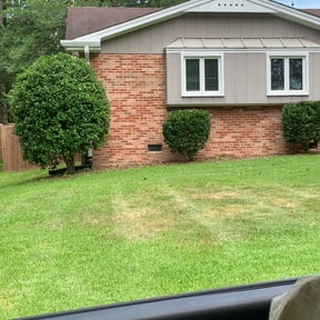 Bush Trimming by B&R Elite Lawn Services reviewed on August 18, 2025