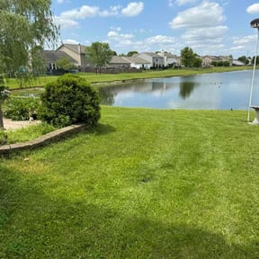 residential landscaping by Roger W Ries reviewed on August 19, 2025