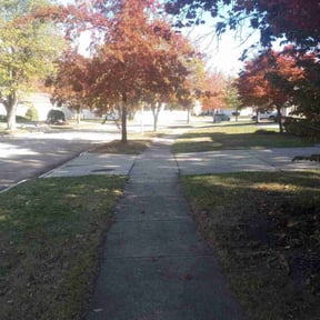 Leaf Removal by Speedy Lawnmower Landscaping reviewed on November 9, 2025