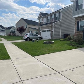 yard service by Diesel Dog Lawn Care LLC reviewed on August 16, 2025