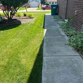 yard care by Liberty Construction and Maintenance LLC reviewed on August 17, 2025