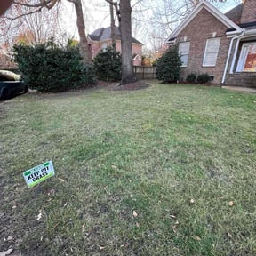 Leaf Removal by DR Lawn Care Services reviewed on December 29, 2025