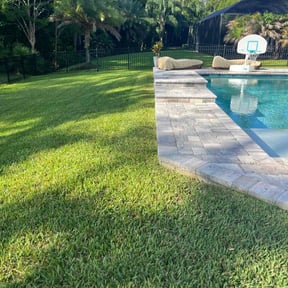 yard care by Denson's Total Lawn Care reviewed on August 15, 2025