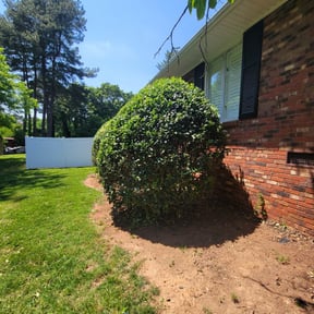 Bush Trimming by 1StopRepa1rs reviewed on August 21, 2025
