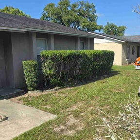 Bush Trimming by Fm cleaning and lawn reviewed on July 6, 2026