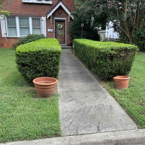 Bush Trimming by CTRL SPC LLC reviewed on August 20, 2025