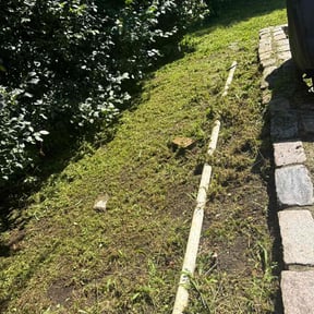 Flower Bed Weeding by Fresh cut reviewed on October 24, 2025