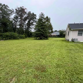 lawn service by M&amp;M landscaping reviewed on August 21, 2025