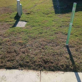 Flower Bed Weeding by Freel&#039;s Lawn Care reviewed on October 21, 2025