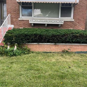 Bush Trimming by Taylor'd "2u" Services reviewed on December 14, 2025