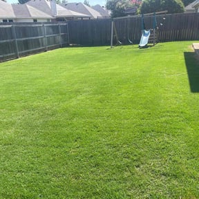 yard maintenance by Johnson Family Lawn Service reviewed on August 20, 2025