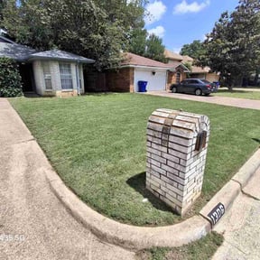 yard care by Aura lawn pros reviewed on August 15, 2025