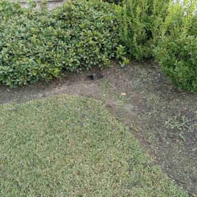 Flower Bed Weeding by Jeanie&#039;s Lawn Service reviewed on October 21, 2025