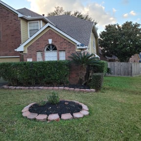 Bush Trimming by Paramount Professional Services reviewed on August 21, 2025