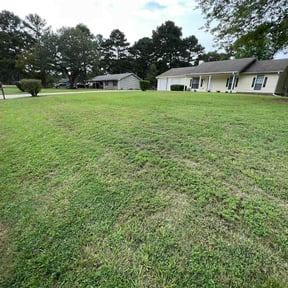 Bush Trimming by Sheepdog Lawn Care LLC reviewed on August 17, 2025