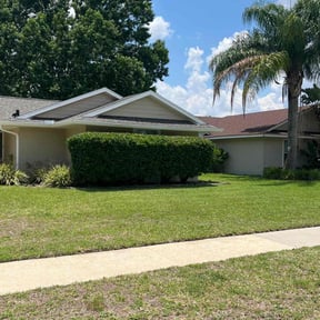 Bush Trimming by Michael Dover Jr reviewed on August 20, 2025