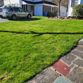 yard maintenance by Acheys landscaping LLC reviewed on August 15, 2025