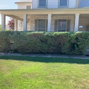 Bush Trimming by Joe Molinaro reviewed on August 21, 2025