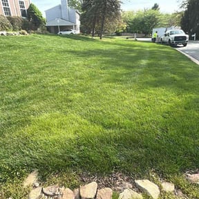 landscaping services by Wring's Lawn Care reviewed on August 15, 2025