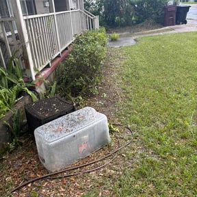 Bush Trimming by Royal cuts landscape reviewed on June 25, 2026