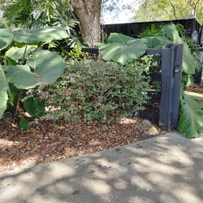 Bush Trimming by Legendary Landscaping services reviewed on August 16, 2025
