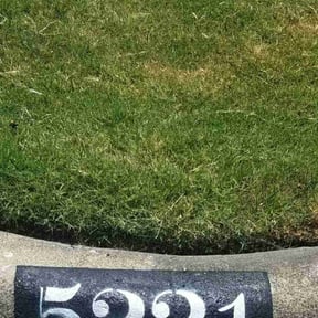 Leaf Removal by Clemons Lawn Care reviewed on September 23, 2025