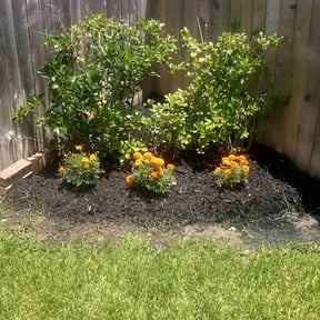 Bush Trimming by Just us landscaping LLC reviewed on November 22, 2025