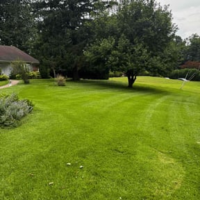 landscaping services by Evolution Landscape Maintenance reviewed on November 22, 2025