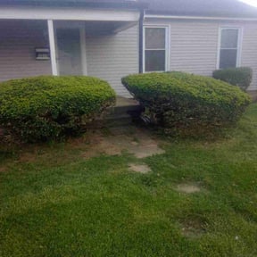 Bush Trimming by LOCAL Landscaping & Lawn Maintenance reviewed on August 16, 2025