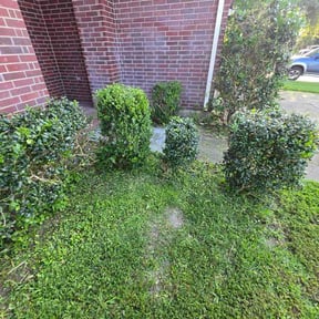 Bush Trimming by Trackside Lawn Co LLC reviewed on June 28, 2026