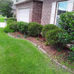 Bush Trimming by Elevated lawncare reviewed on August 17, 2025