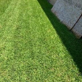 yard service by Zaedah LLC reviewed on August 19, 2025