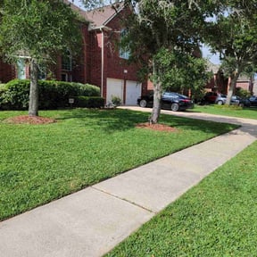 landscaping by Wilson-Maintenance reviewed on August 16, 2025