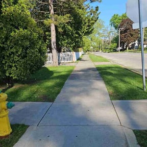 landscaping by Alwaysready landscaping reviewed on August 17, 2025