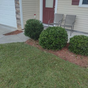 Bush Trimming by Liberty Construction and Maintenance LLC reviewed on August 16, 2025