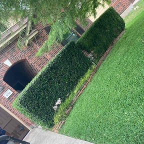 Bush Trimming by M.A.C & Utilities llc. reviewed on August 19, 2025