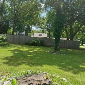 lawn maintenance by Nichols Lawn & Landscaping reviewed on September 17, 2024