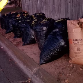 Leaf Removal by AMERICA'S BEST LAWN SERVICE LLC reviewed on August 16, 2025