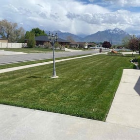 yard care by K.H. lawn care reviewed on August 21, 2025