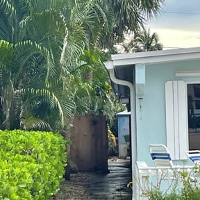 Bush Trimming by Above And Beyond Lawn Care reviewed on August 17, 2025